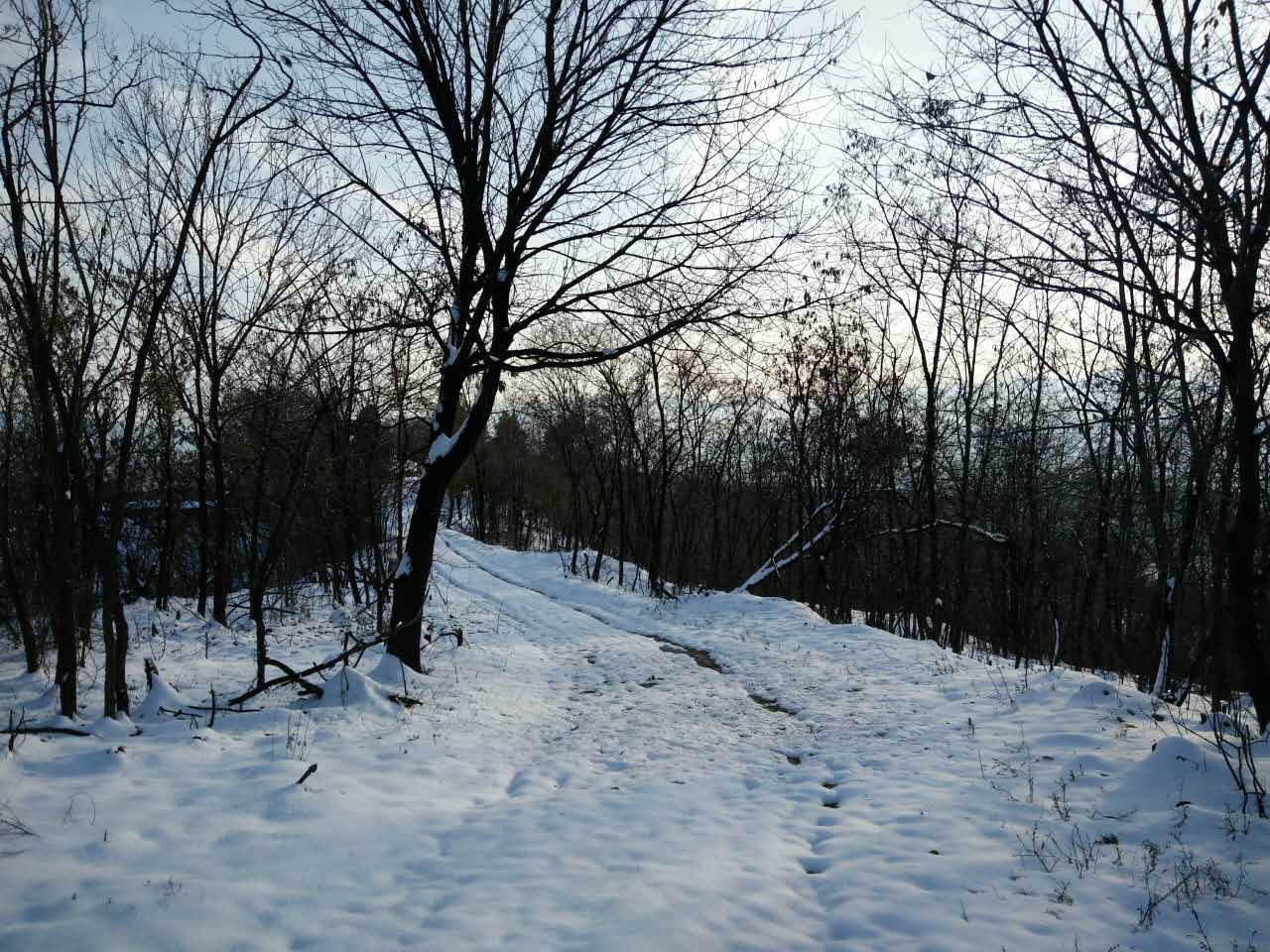 标准化养殖示范基地