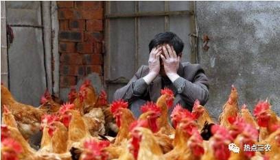 “禽流感”、中国独创的时尚！